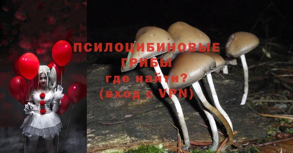 каннабис Беломорск