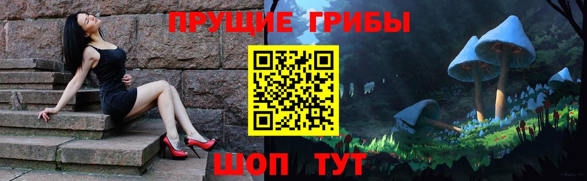 Псилоцибиновые грибы Cubensis Бутурлиновка